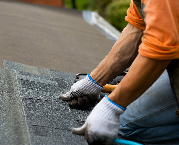 Best Storm Damage Roof Repair  in Martins Ferry, OH