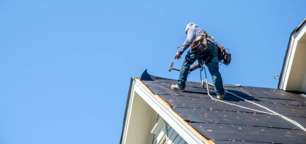 Best Roof Repair Services  in Martins Ferry, OH